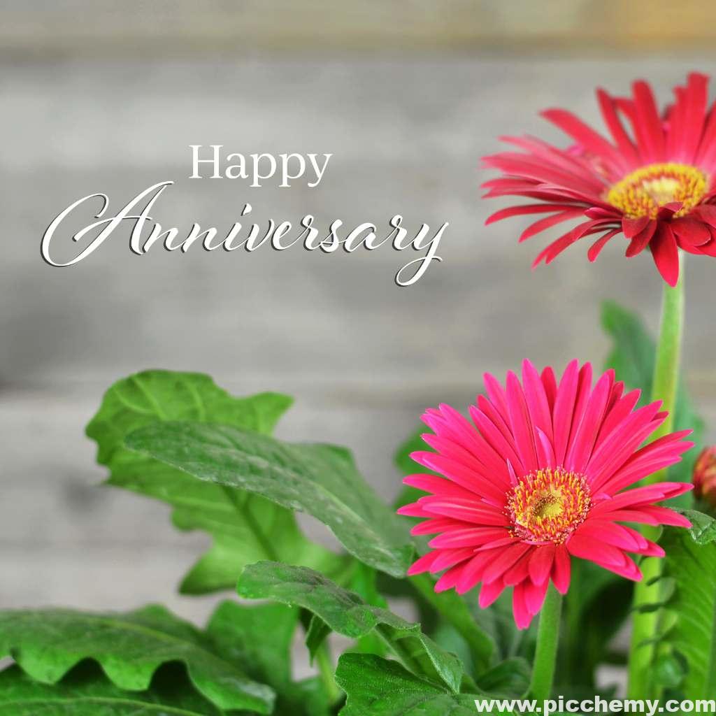 Garden flowers Happy Anniversary images