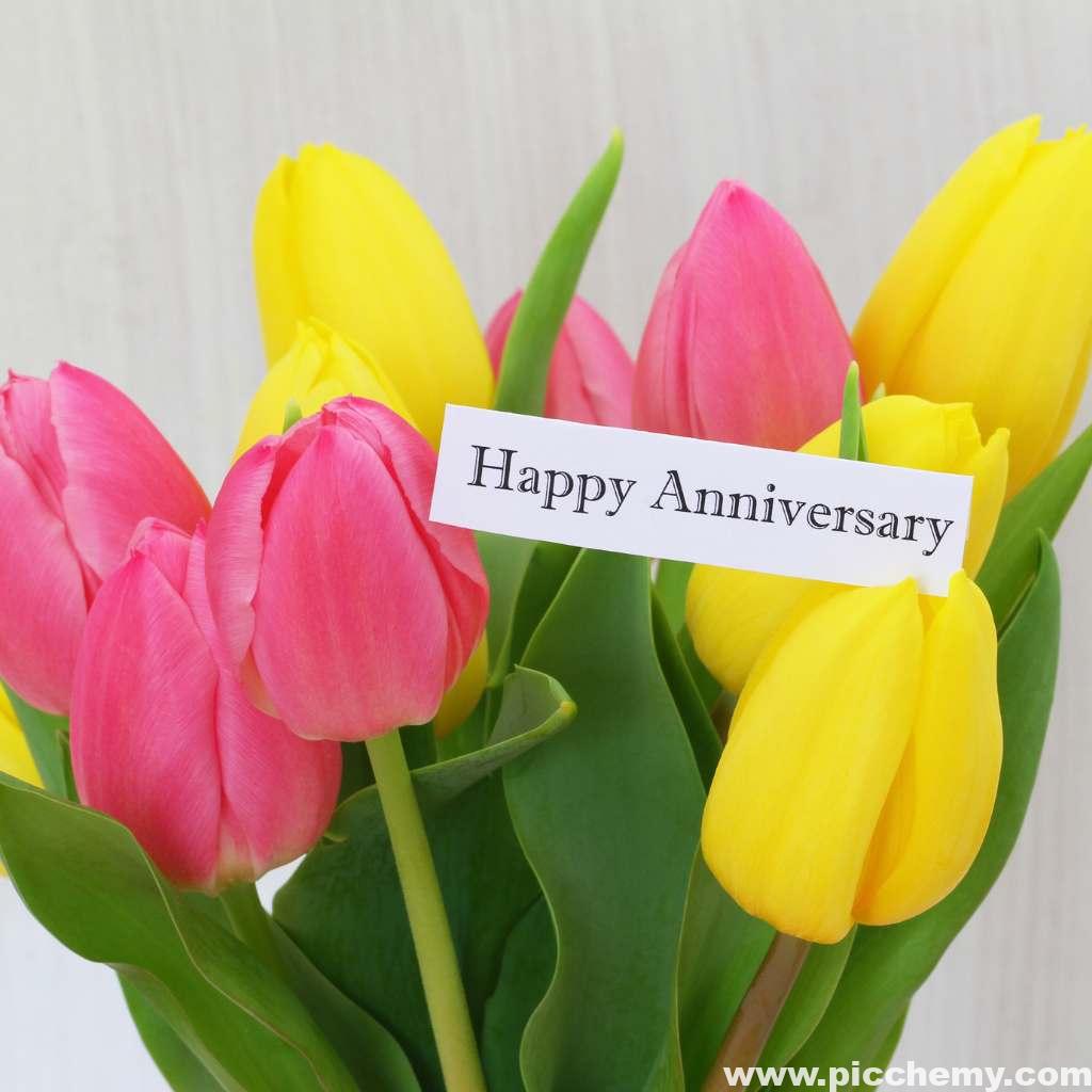 tulip flower bouquet Happy Anniversary images