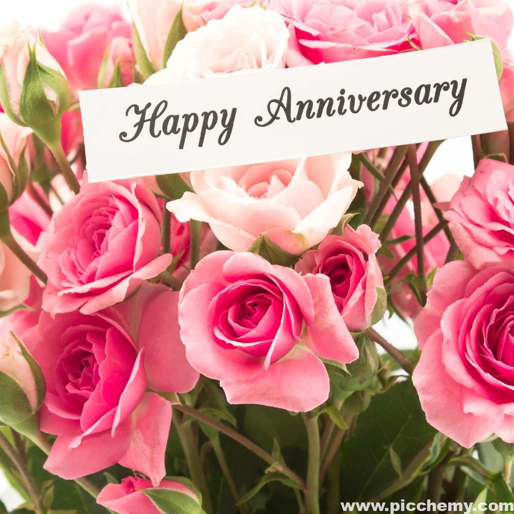 Rose Floral Flowers with Happy Anniversary Image