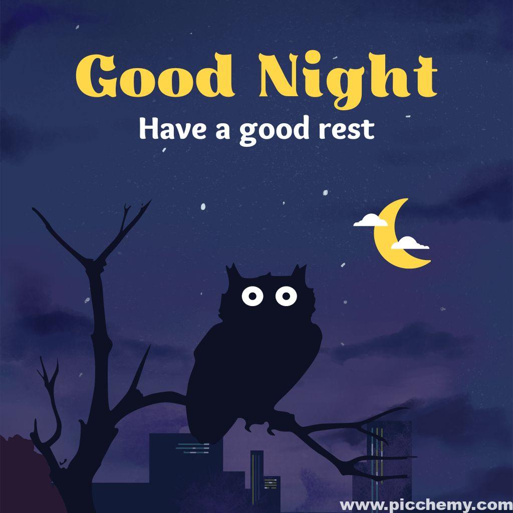 Good night Wishes, owl, moon, stars